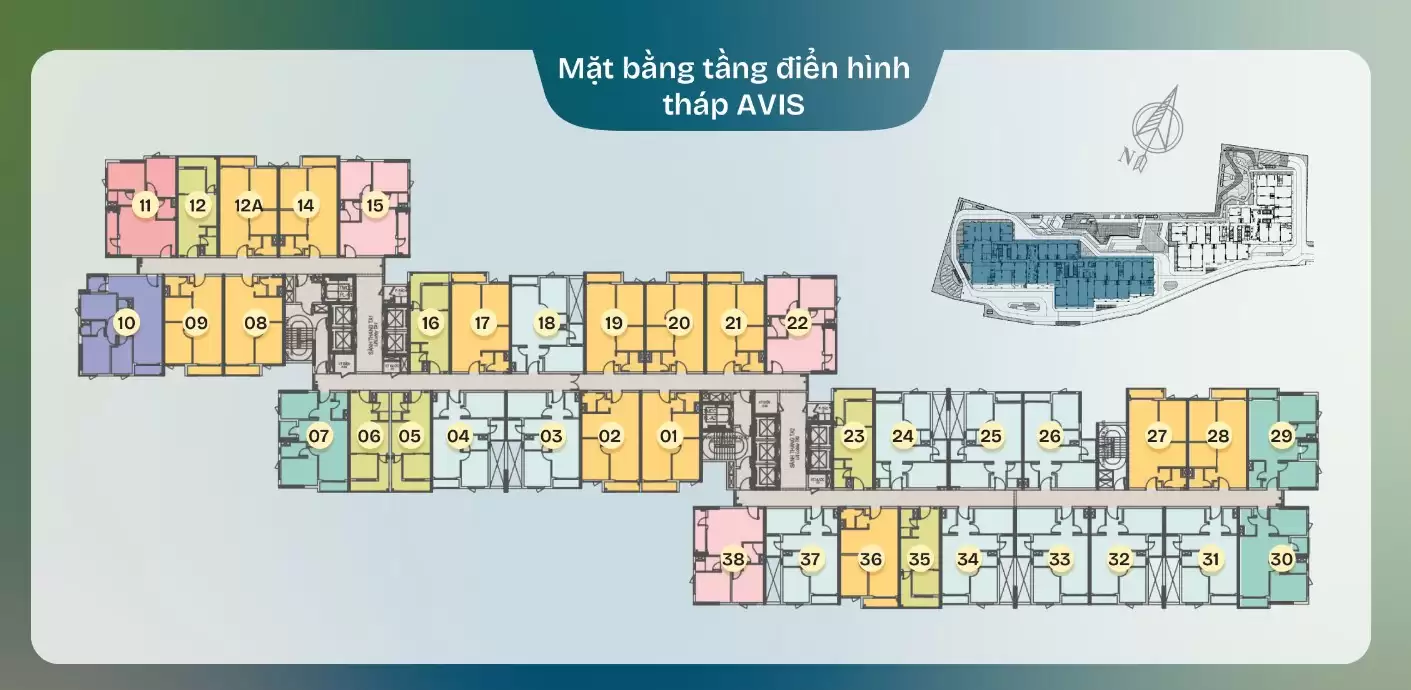 Mặt bằng tầng điển hình của dự án