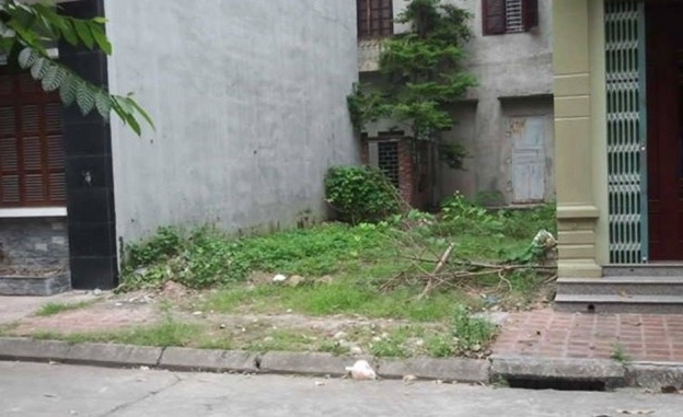 Cần bán miếng đất ở đường Tân Liễu, xã Hưng Long , Bình Chánh . dt 90m2 , 450tr